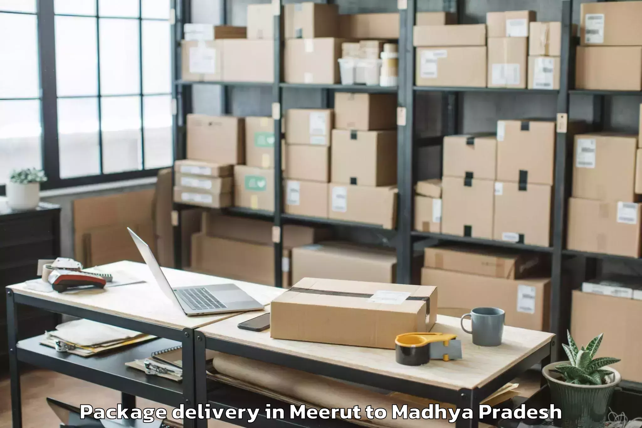 Affordable Meerut to Maharajpur Package Delivery